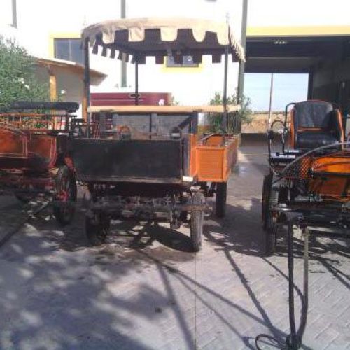 Paseo en carruaje para 5 personas Paseo en carruaje para 5 personas